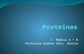 Proteínas, una macromolécula fundamental para los organismos