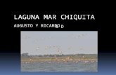 Laguna mar chiquita5