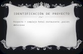 Identificación de proyecto