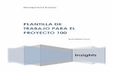 PLANTILLA DE TRABAJO PARA EL PROYECTO 100
