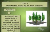 Crecimiento Total de la Masa Forestal