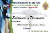 Informe Radiografico de Endodoncia y Periodoncia