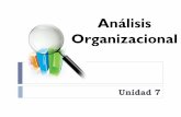 Analisis organizacional1