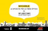 W!CABLE, la apuesta de Viladecans por la fibra óptica