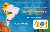Situacion epidemiologica de las enfermedades bajo vigilancia priorizadas en el ambito andino