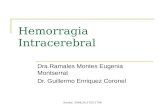 Hemorragia Cerebral Dra Monserrat Ramales