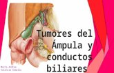 Tumores del ámpula y conductos biliares