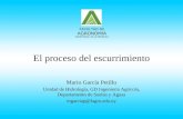 El proceso del escurrimiento. Por Mario García Petillo. Facualad de la República.Uruguay