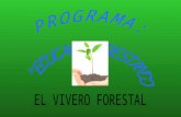 Presentación educar forestando  automatica