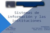Sistemas de información y las instituciones