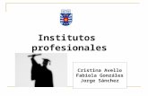 Institutos profesionales en chile