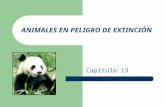 Animales en peligro de extincion[1]