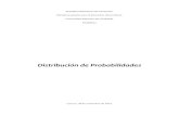 Estadistica Distribuciones de Probabilidades.docx