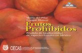Frutos Prohibidos Perdida de Biodiversidad de Especies Frutales en Mexico