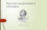 Musculos Suprahioideos e Infraiodeos