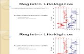 8 Registros Litologicos SP Material