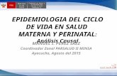 002 Epidemiologia Ciclo Vida Causalidad Salud Materna Perinatal