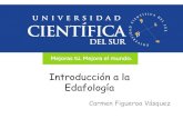 1. Introducción a la Edafología (1).pdf
