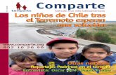 15- Los niños de Chile tras el terremoto, esperan una solución