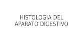 Histologia Del Aparato Digestivo (Conty)