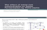 The Effect of Initial Cell Concentration on Xylose