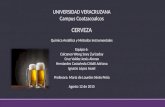 La Cerveza Analitica.pptx