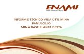 6 - Informe Tecnico VU Mina Panulcillo - A. Muñoz M. Moreno ENAMI
