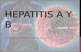 HEPATITIS A Y B