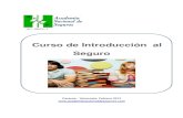 03_manual Introduccion Al Seguro 2013 Ince-2