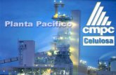 Presentación CMPC Pacifico