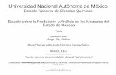 Estudio sobre la producción y análisis de los mezcales del estado de Oaxaca