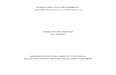 Informe Practicas 1-2 Quimica Analitica e Instrumental