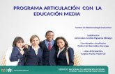 Presentacion Articulacion Con La Media - Octubre de 2015