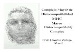 MHC [Modo de Comewewpatibilidad] (1)