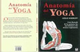 Anatomia Del Yoga