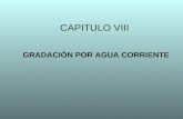 CAPITULO VIII-1.ppt