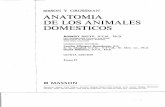 Anatomía de los animales domesticos