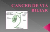 Cancer de via Biliar