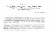 Toxico-01a4 Contaminacion Ambiental, Origen, Clasificación
