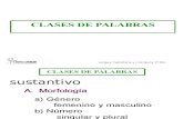 p 1b Morfología Clases de Palabras1