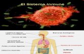 El Sistema Inmunológico (1)