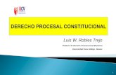 Derecho Procesal Constitucional garantias y procesos contitucionales