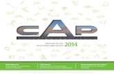 Cap Reporte Sustentabilidad 2014