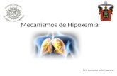 Mecanismos de Hipoxemia