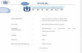 Monografia PISA (1)