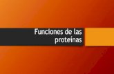 Funciones de Las Proteínas