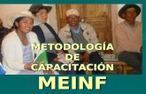 METODOLOGÍA MEINF (Proagro)