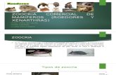 Zoocria Comercial de Mamiferos (Roedores y Xenarthras