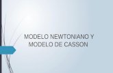 Modelo de Newton y de Casson Scrib