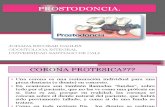 Prostodoncia (Coronas Ppf Ppr Total Incrustaciones)